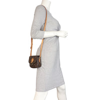 Louis Vuitton St. Cloud PM Monogram_IMG_6762.jpeg