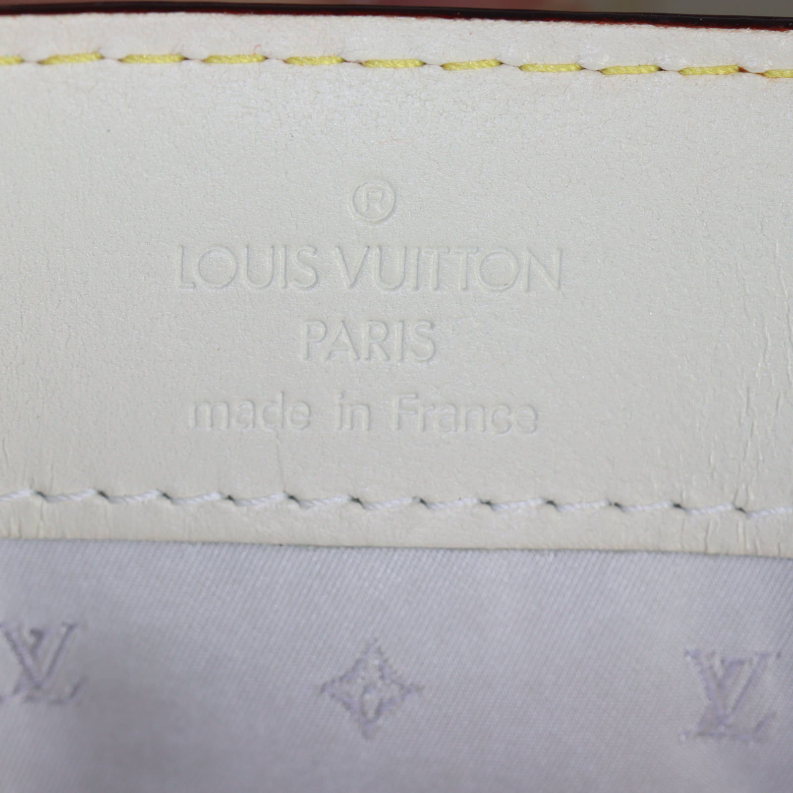 Louis Vuitton Suhali Le Fabuleux Bag_IMG_9521.jpg