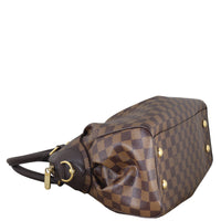 Louis Vuitton Trevi PM Damier Ebene_IMG_1466.jpeg