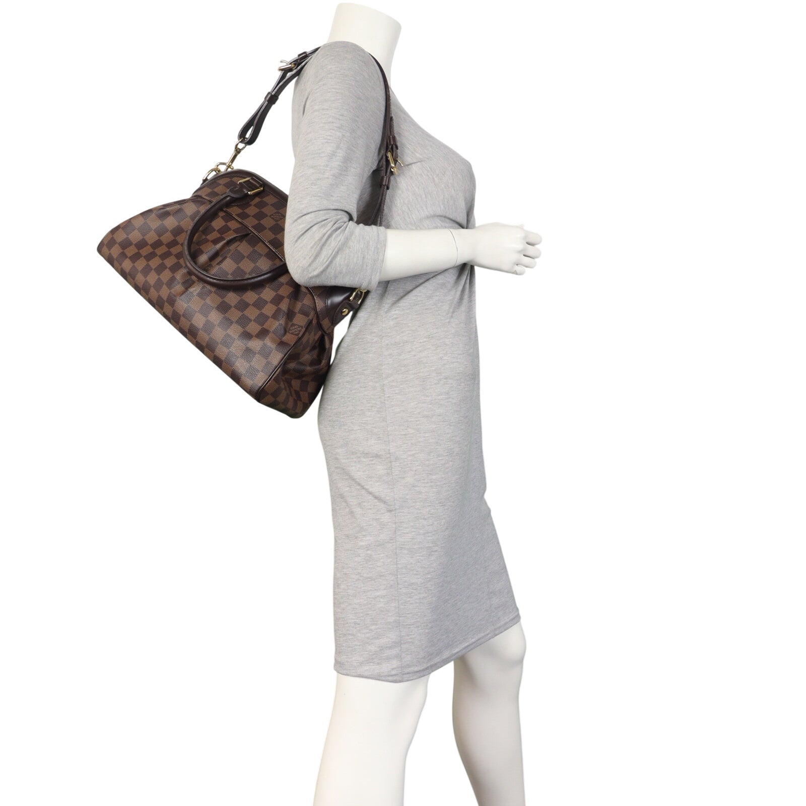 Louis Vuitton Trevi PM Damier Ebene_IMG_2356.jpeg