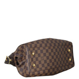 Louis Vuitton Trevi PM Damier Ebene_IMG_9044.jpeg