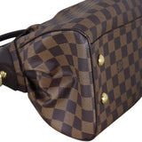 Louis Vuitton Trevi PM Damier Ebene_IMG_9045.jpeg