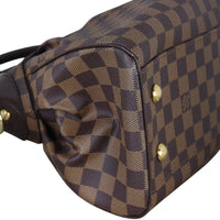 Louis Vuitton Trevi PM Damier Ebene_IMG_9045.jpeg