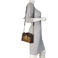 Louis Vuitton Trunk Clutch Monogram Reverse_IMG_9696.jpeg