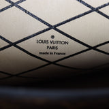 Louis Vuitton Trunk Clutch Monogram Reverse_IMG_9872.jpg
