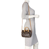 Louis Vuitton Turenne Nano Monogram_IMG_9697.jpeg
