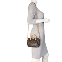 Louis Vuitton Turenne Nano Monogram_IMG_9697.jpeg