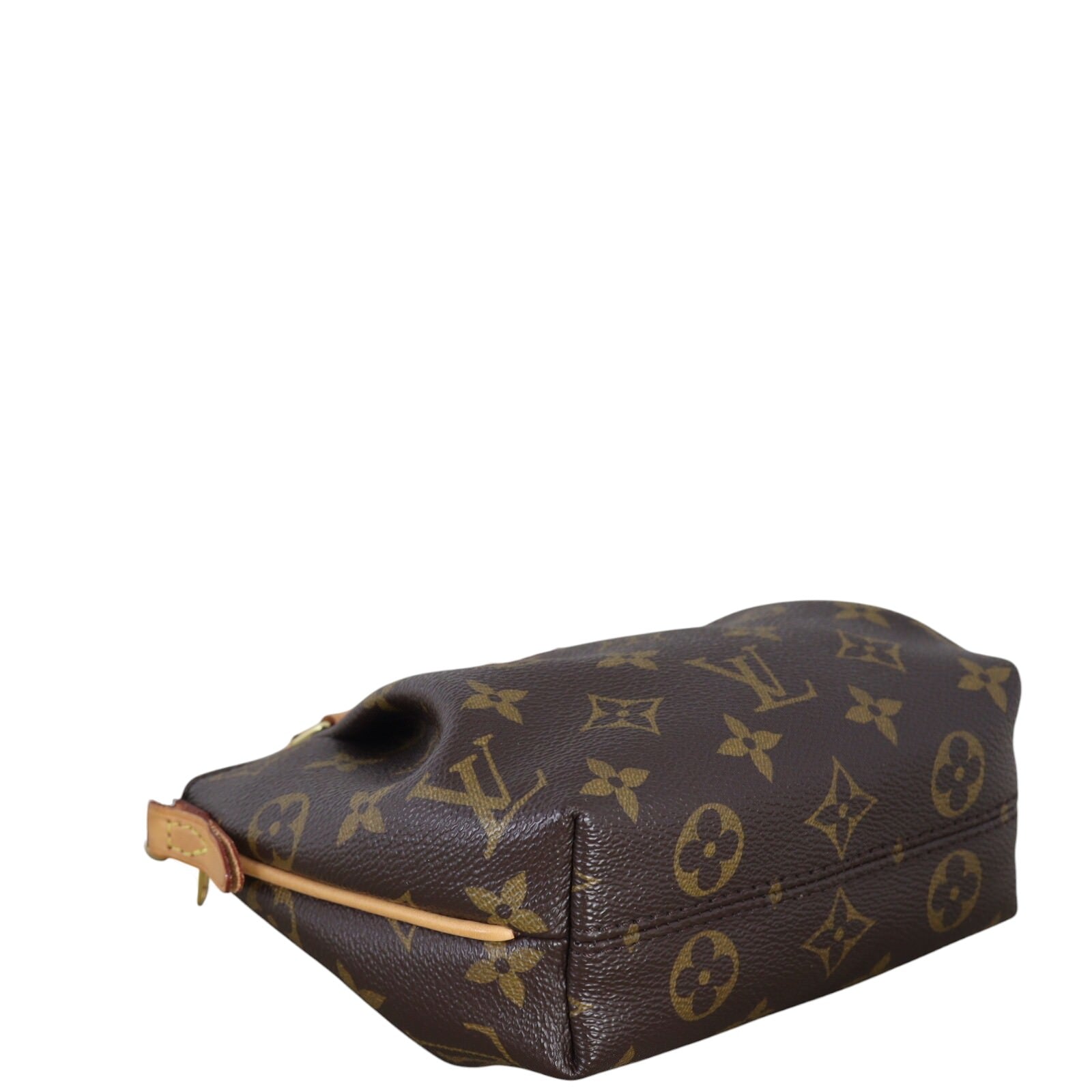 Louis Vuitton Turenne Nano Monogram_IMG_9862.jpg