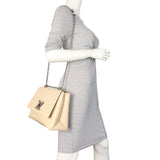 Louis Vuitton Twist GM Epi_IMG_0595.jpeg