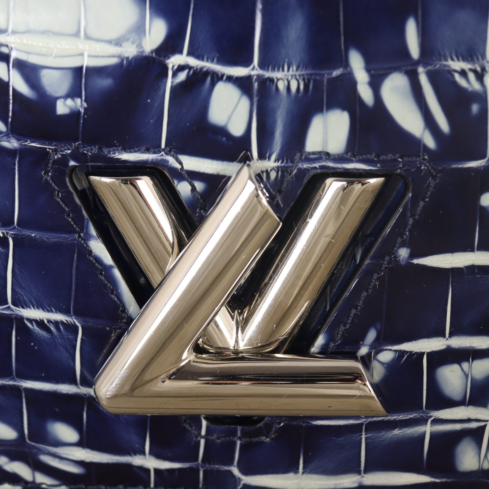 Louis Vuitton Twist PM Crocodile_IMG_4289.jpg