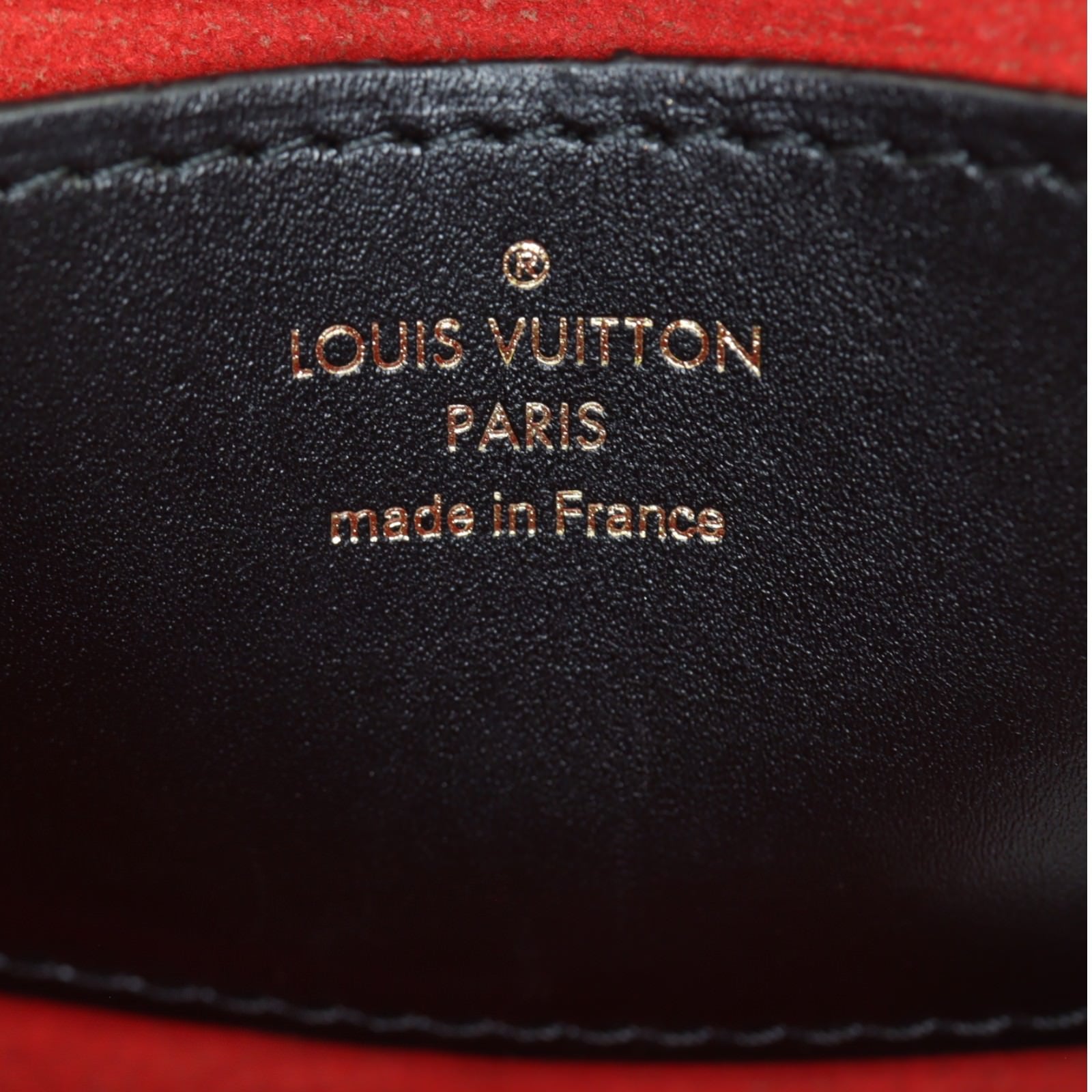 Louis Vuitton Twist PM Epi Malletage_IMG_1365.jpg
