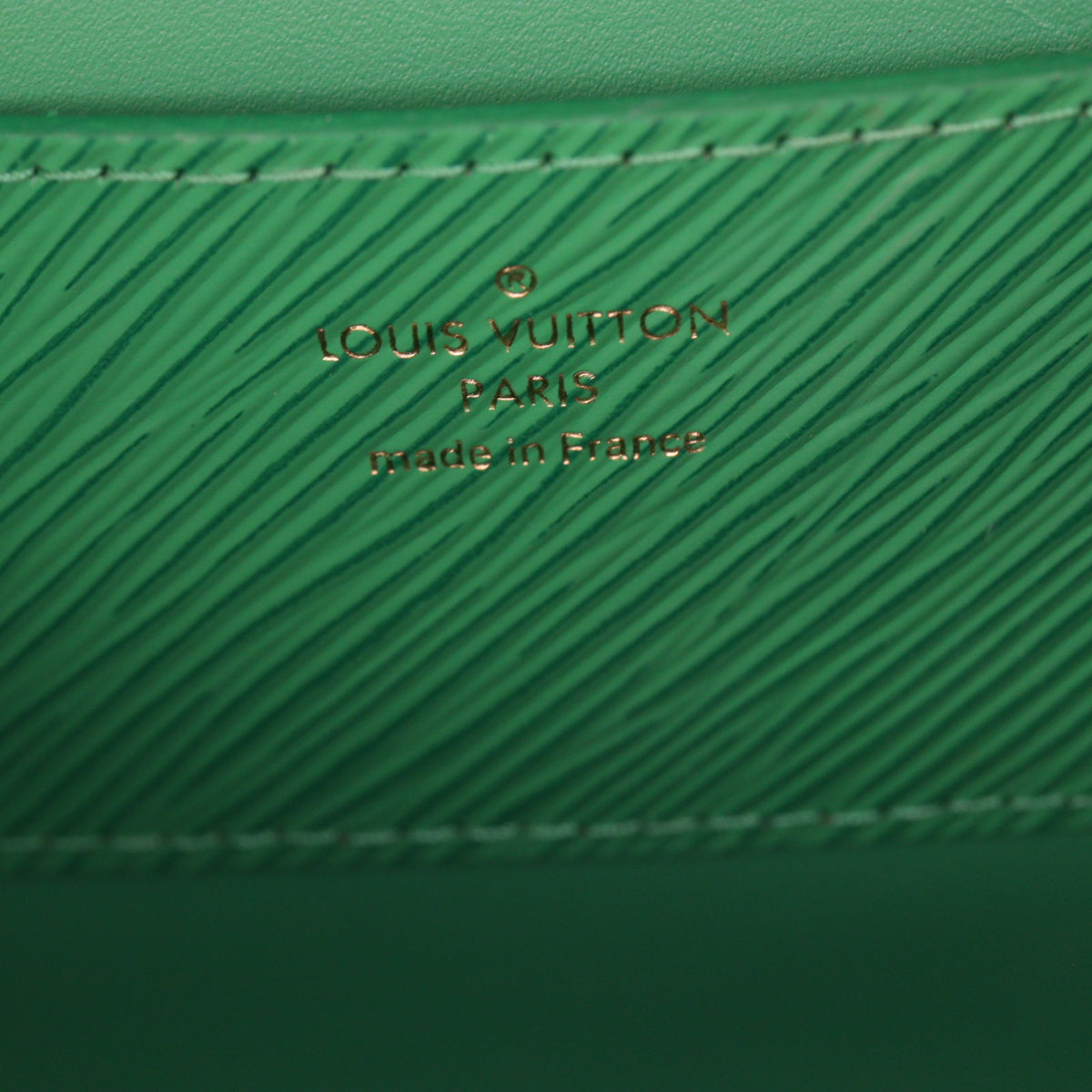 Louis Vuitton Twist PM Epi_IMG_8426.jpg