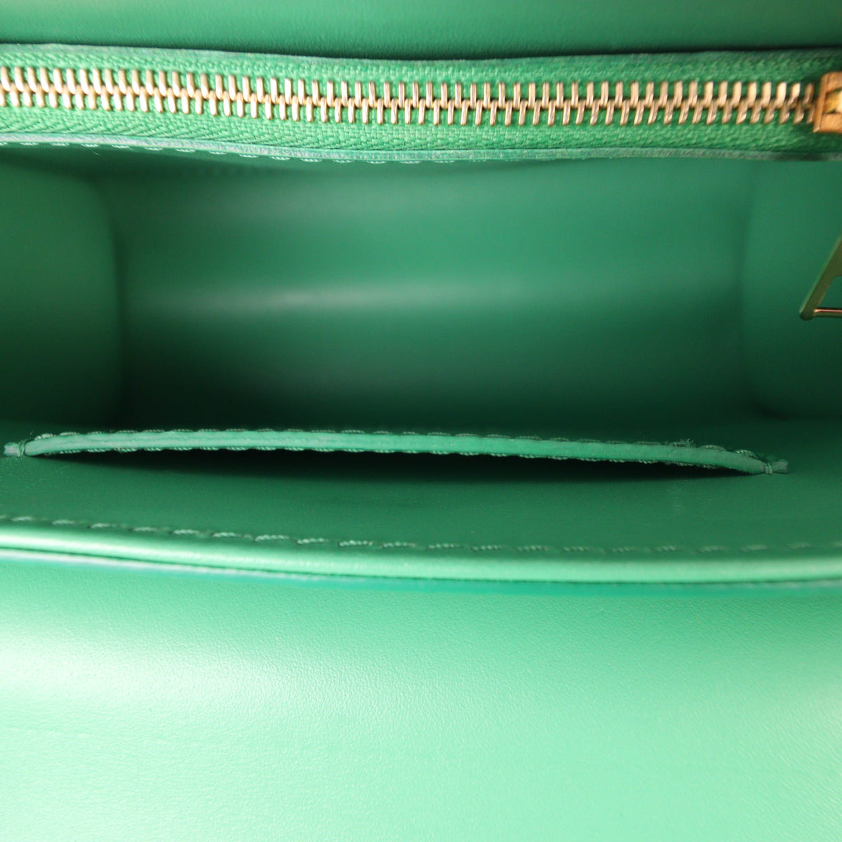 Louis Vuitton Twist PM Epi_IMG_8427.jpg
