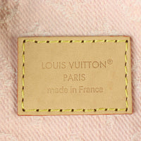 Louis Vuitton Venice Backpack Monogram Denim_IMG_6827.jpg