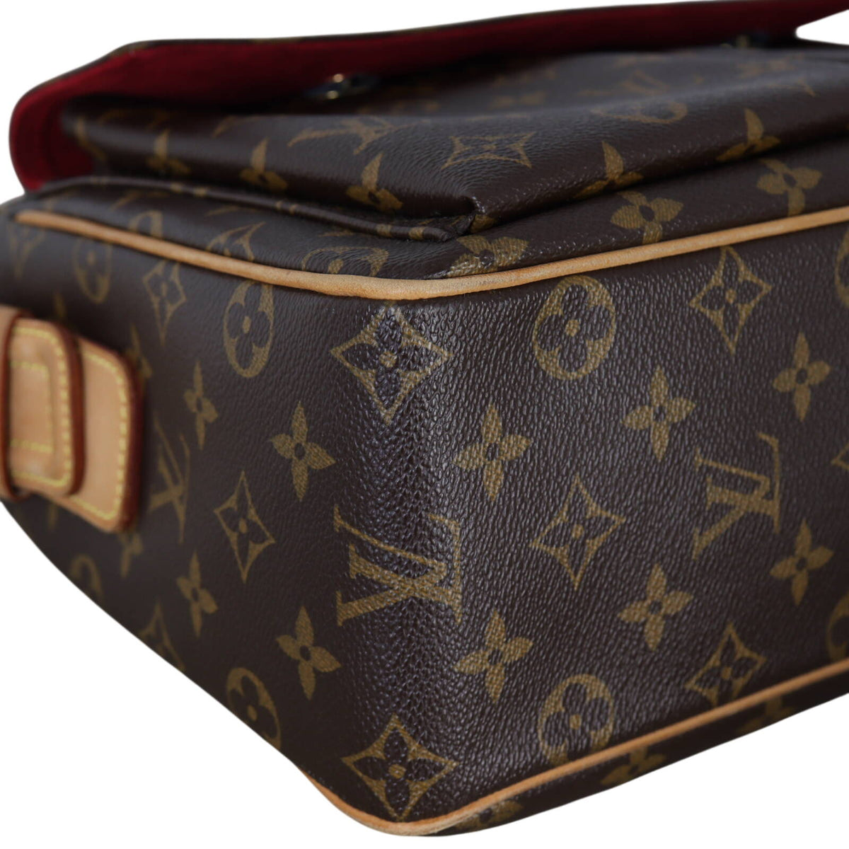 Louis Vuitton Viva-Cite GM Monogram_IMG_2125.jpeg