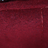 Louis Vuitton Viva-Cite GM Monogram_IMG_2132.jpg
