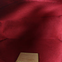 Louis Vuitton Viva Cite PM Monogram_IMG_6707.jpg