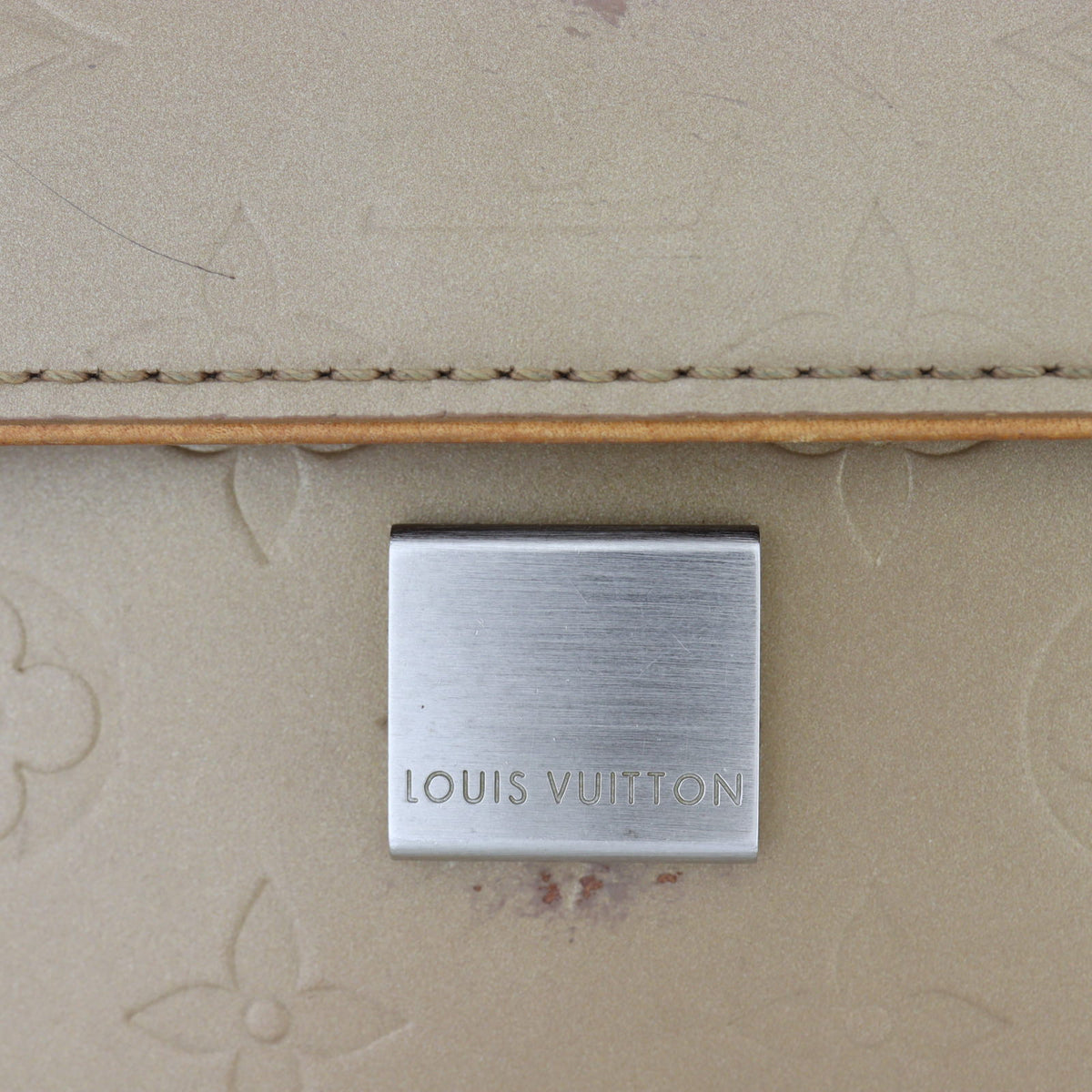 Louis Vuitton Webster Street Monogram Mat_IMG_1117.jpg