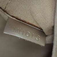 Louis Vuitton Webster Street Monogram Mat_IMG_1119.jpg