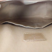 Louis Vuitton Webster Street Monogram Mat_IMG_1123.jpg
