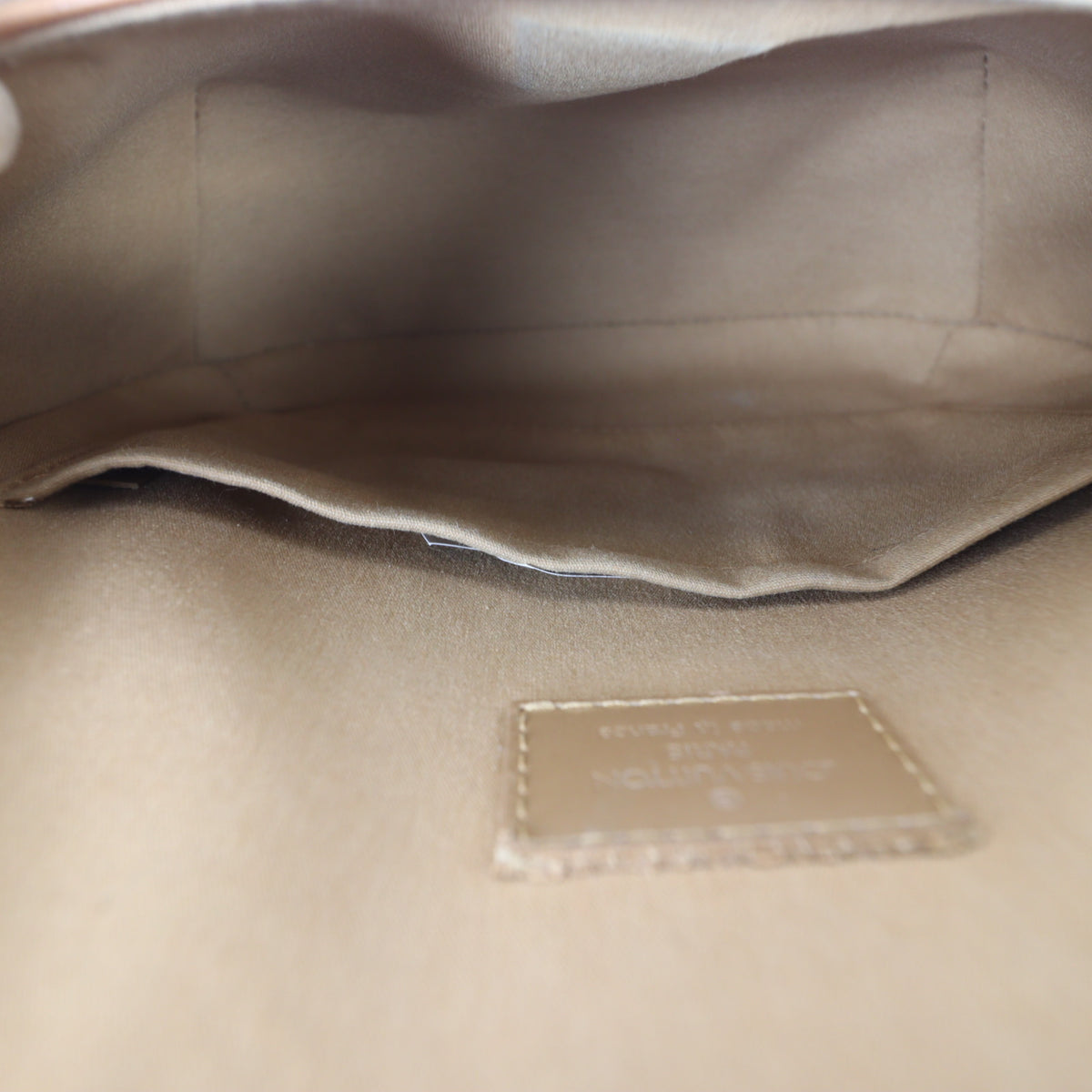 Louis Vuitton Webster Street Monogram Mat_IMG_1123.jpg