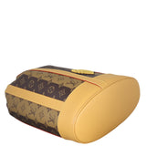 Louis Vuitton x Nigo Randonnee Backpack Monogram Reverse_IMG_7340.jpeg