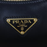 Prada Arque Mini Shoulder Bag_IMG_2049.jpg