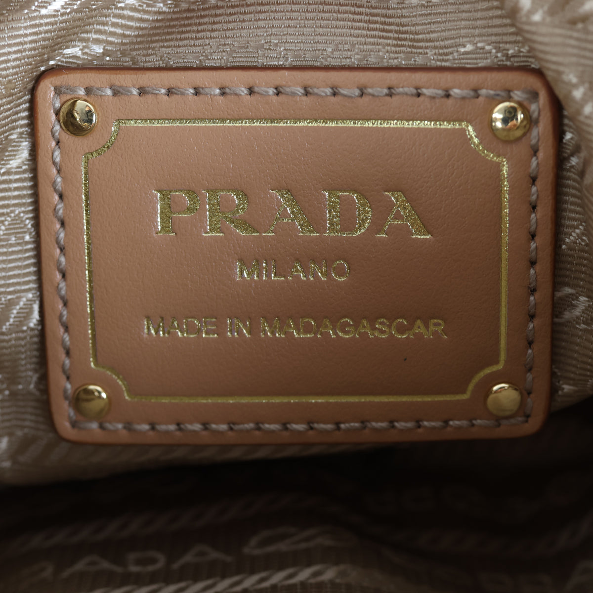 Prada Arque Raffia Shoulder Bag_IMG_8416.jpg
