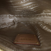 Prada Arque Raffia Shoulder Bag_IMG_8421.jpg