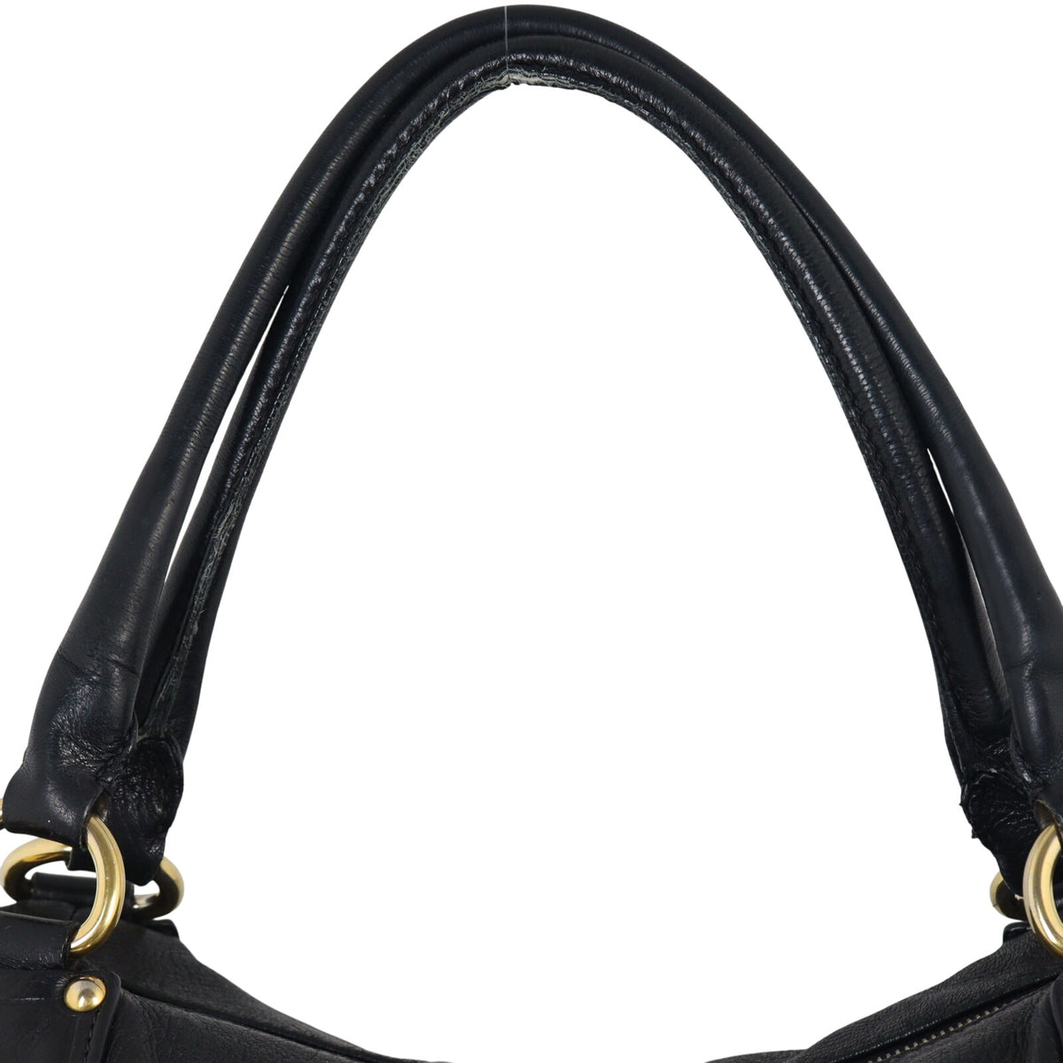 Prada Cervo Shine Two Way Tote_IMG_7611.jpeg