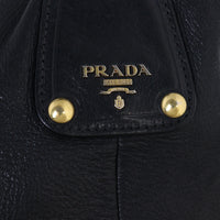 Prada Cervo Shine Two Way Tote_IMG_7613.jpg