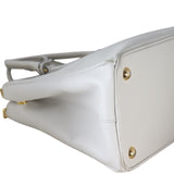 Prada Saffiano Lux Galleria Double Zip Tote Small_IMG_6796.jpeg