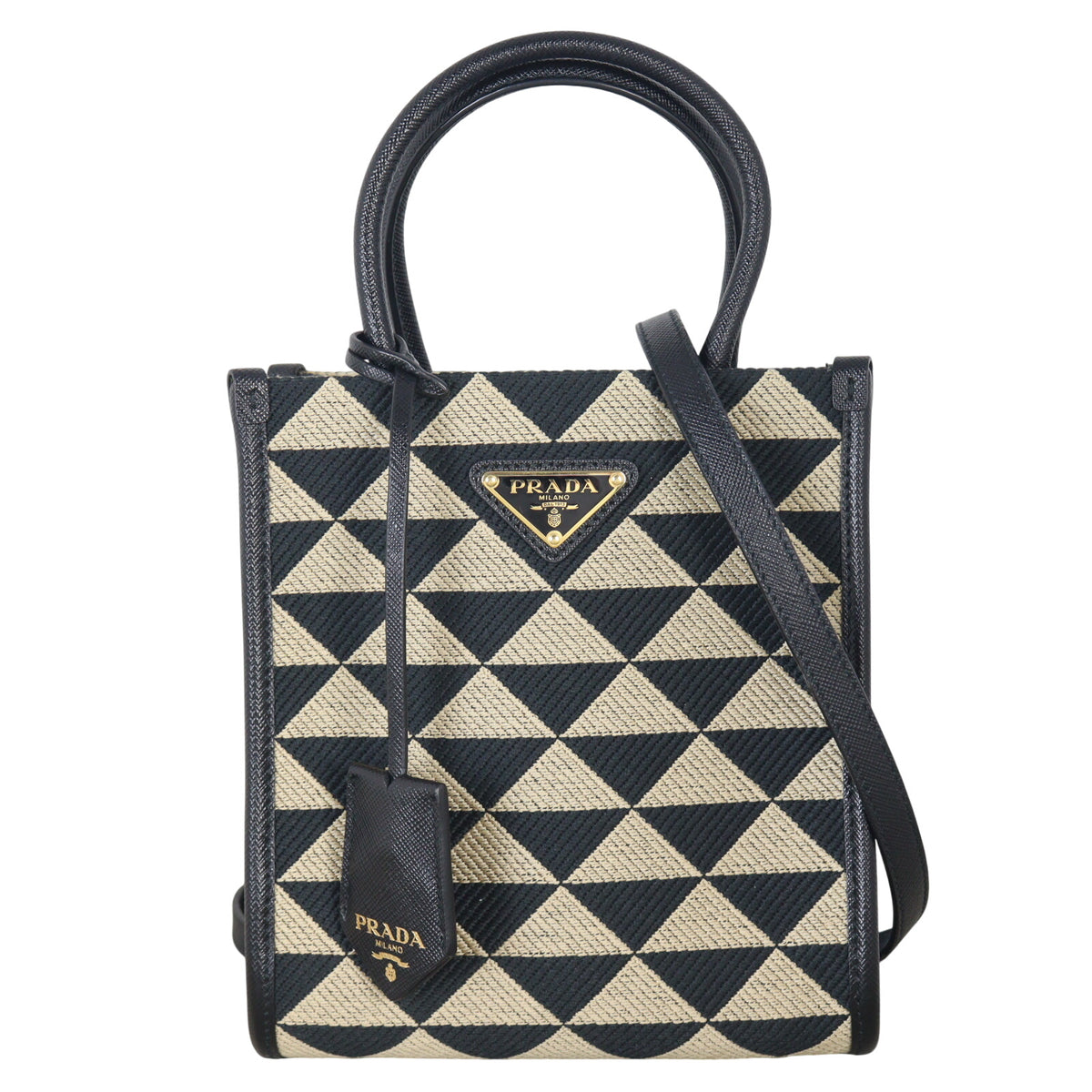 Prada Symbole Vertical Tote Mini_IMG_4607.jpeg