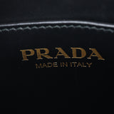 Prada Symbole Vertical Tote Mini_IMG_4615.jpg