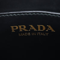 Prada Symbole Vertical Tote Mini_IMG_4615.jpg
