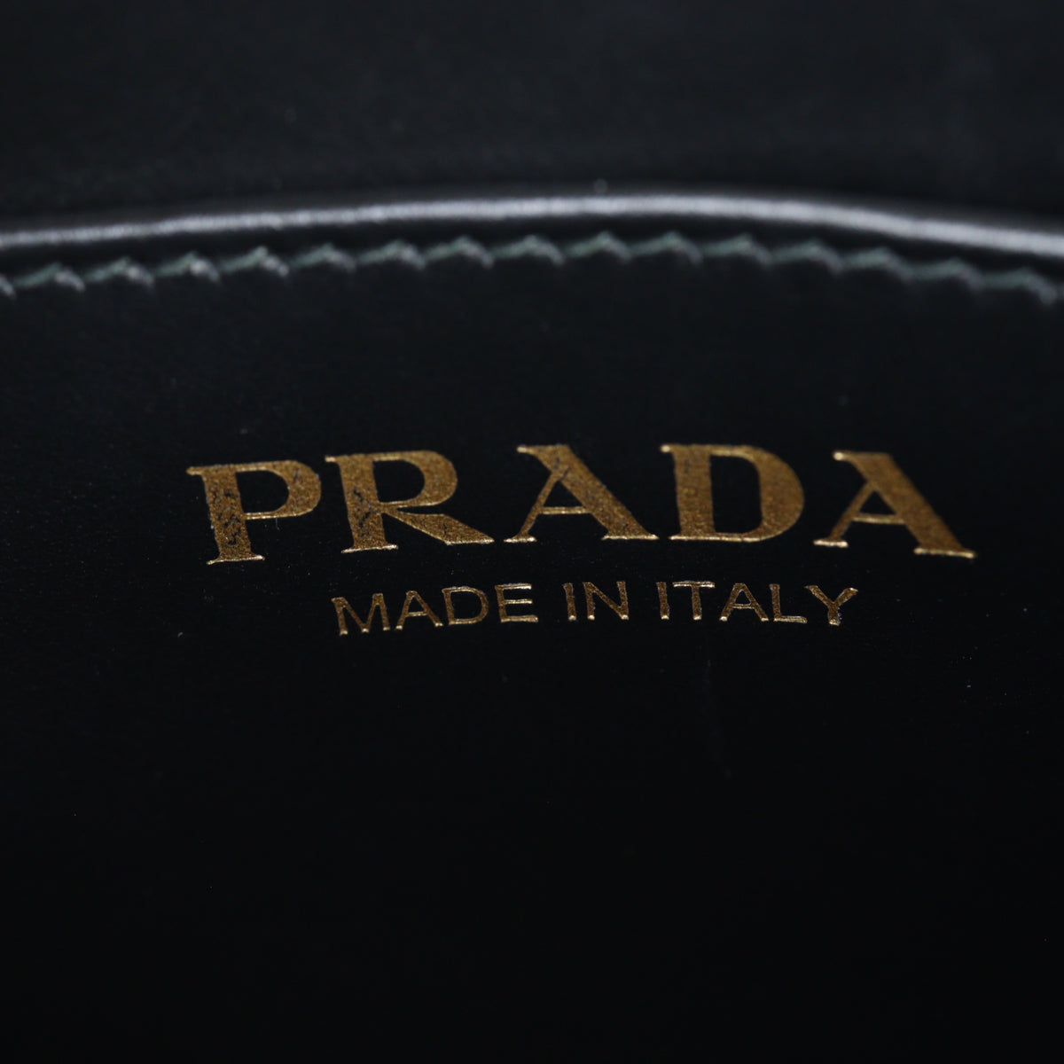 Prada Symbole Vertical Tote Mini_IMG_4615.jpg