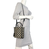 Prada Symbole Vertical Tote Mini_IMG_4821.jpeg
