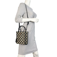 Prada Symbole Vertical Tote Mini_IMG_4821.jpeg