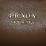 Prada Vitello Daino Crossbody_IMG_3536.jpg