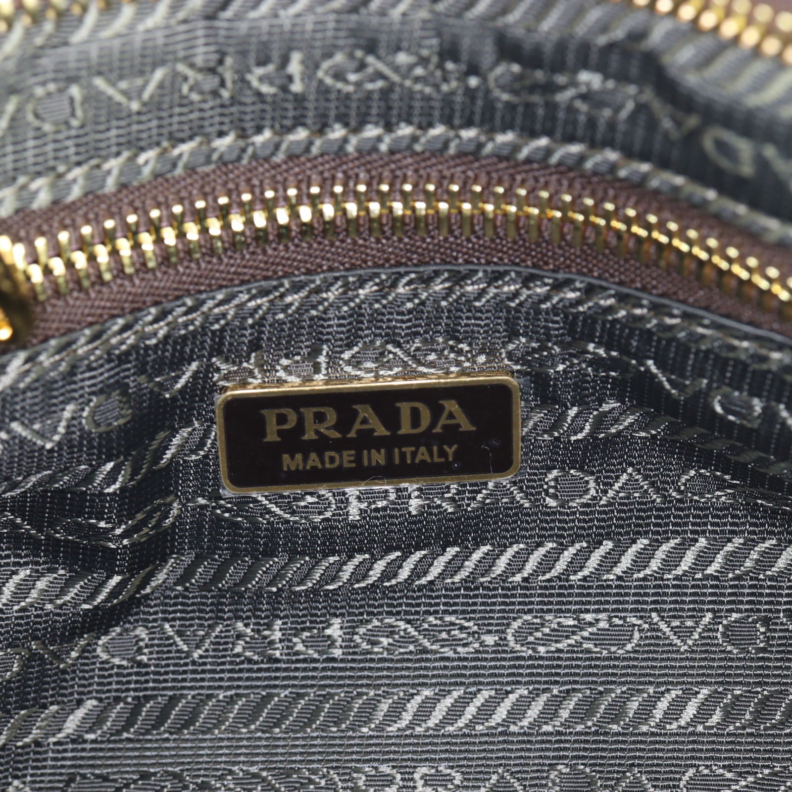Prada Vitello Shine Bonnie Shoulder Bag Mini (brown)_IMG_4787.jpg