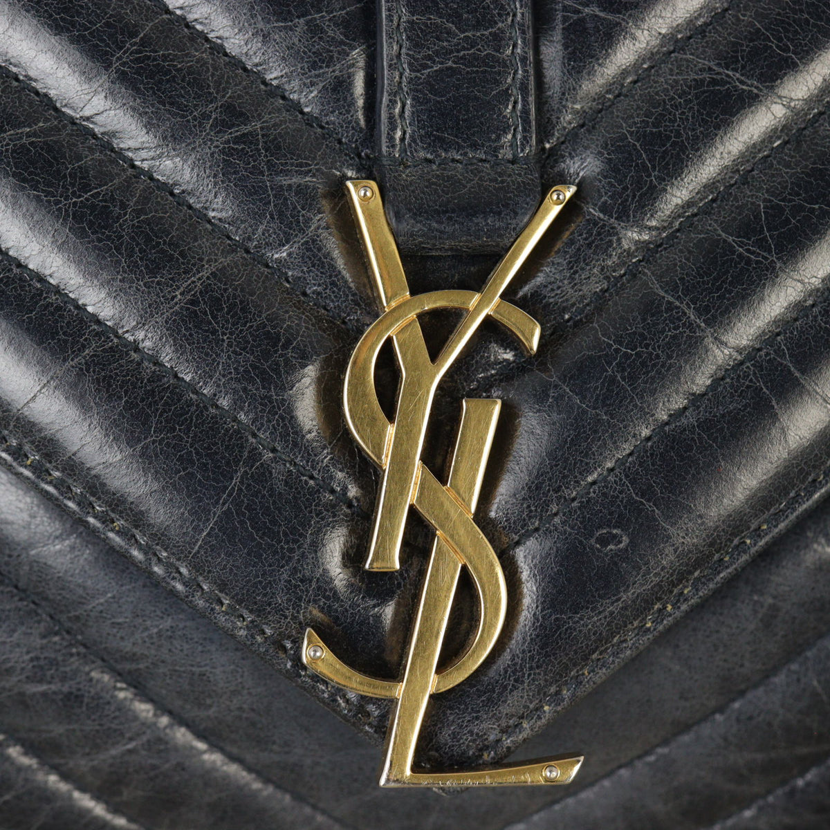 Saint Laurent College Medium_IMG_8801.jpg