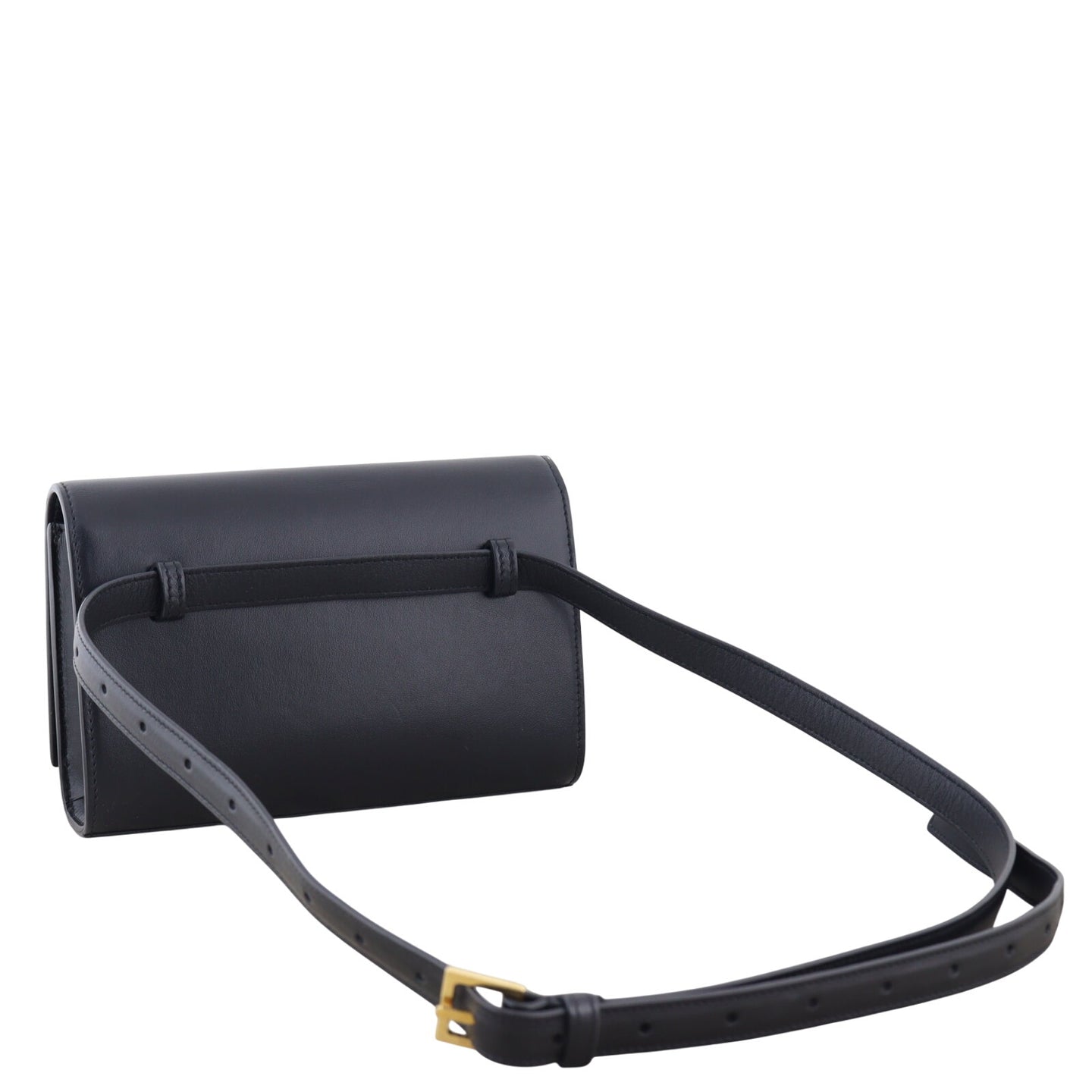 Saint Laurent Kate Belt Bag_IMG_4445.jpeg