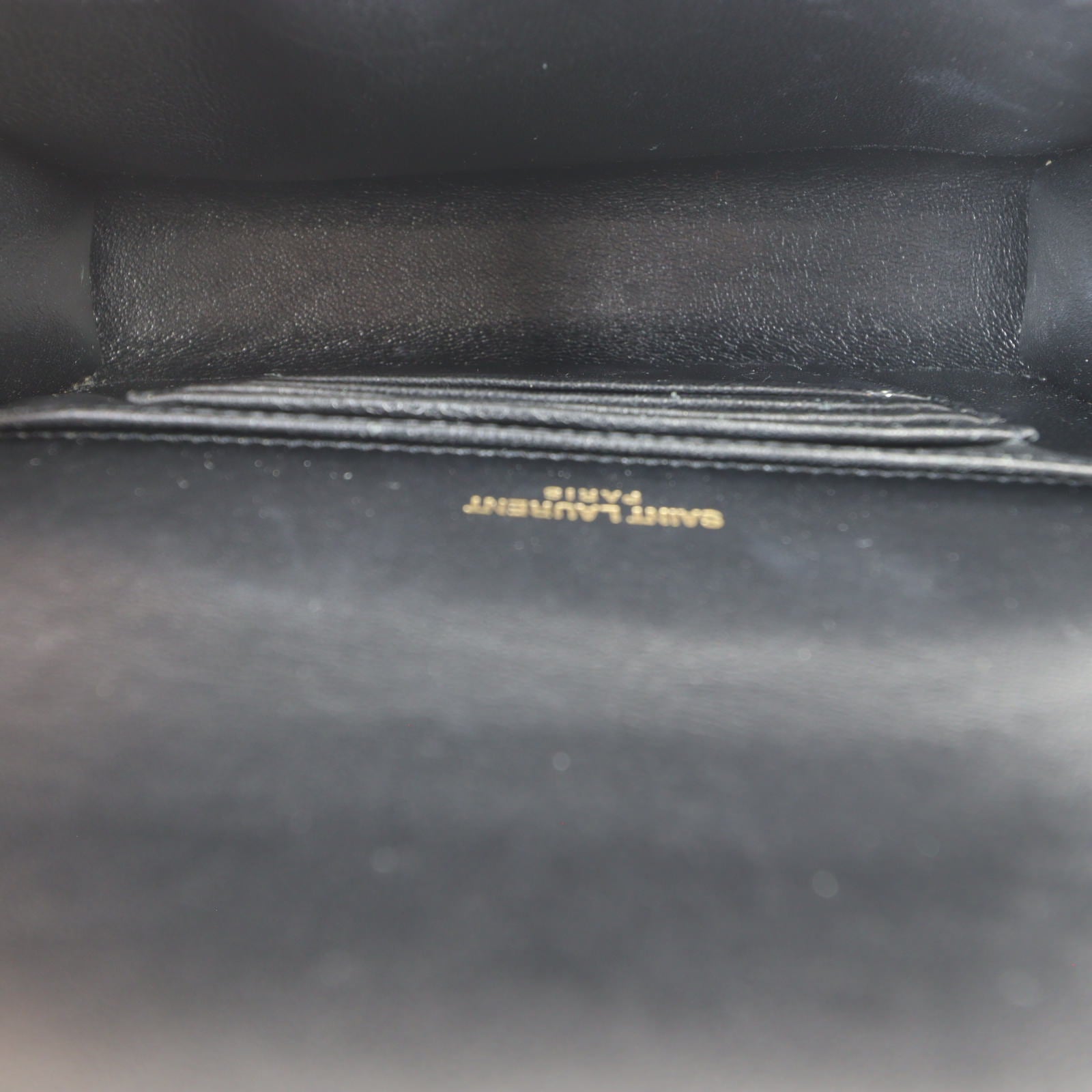 Saint Laurent Kate Belt Bag_IMG_4455.jpg