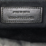 Saint Laurent Lou Camera Bag_IMG_8181.jpg