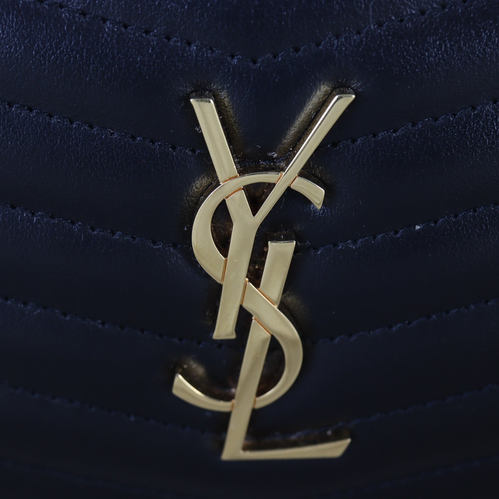 Saint Laurent Lou Mini Camera Bag_IMG_8744.jpg