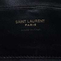 Saint Laurent Lou Mini Camera Bag_IMG_8745.jpg