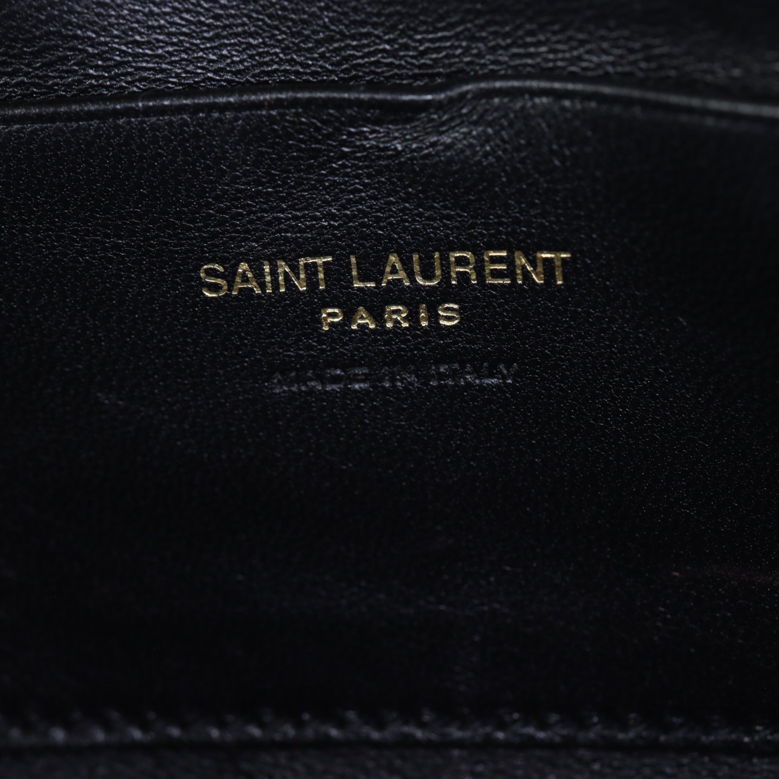 Saint Laurent Lou Mini Camera Bag_IMG_8745.jpg