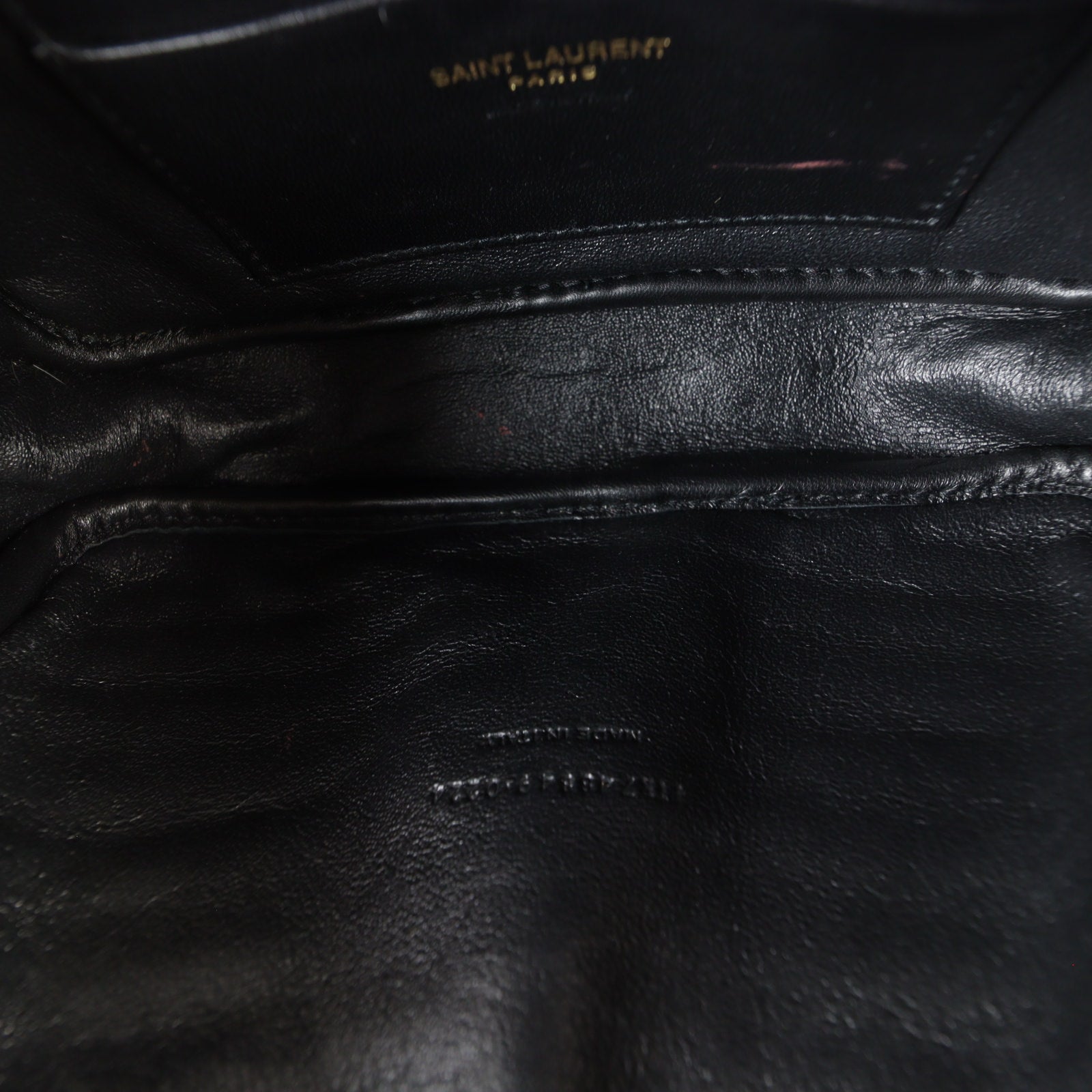 Saint Laurent Lou Mini Camera Bag_IMG_8747.jpg