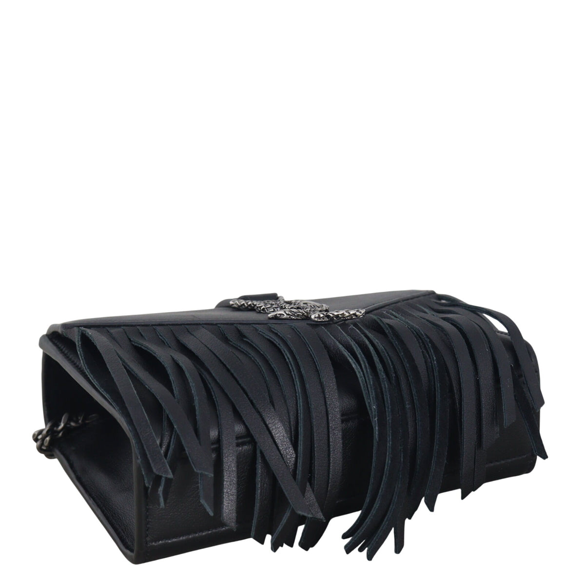 Saint Laurent Monogram Fringe Chain Bag Serpent_IMG_6755.jpeg