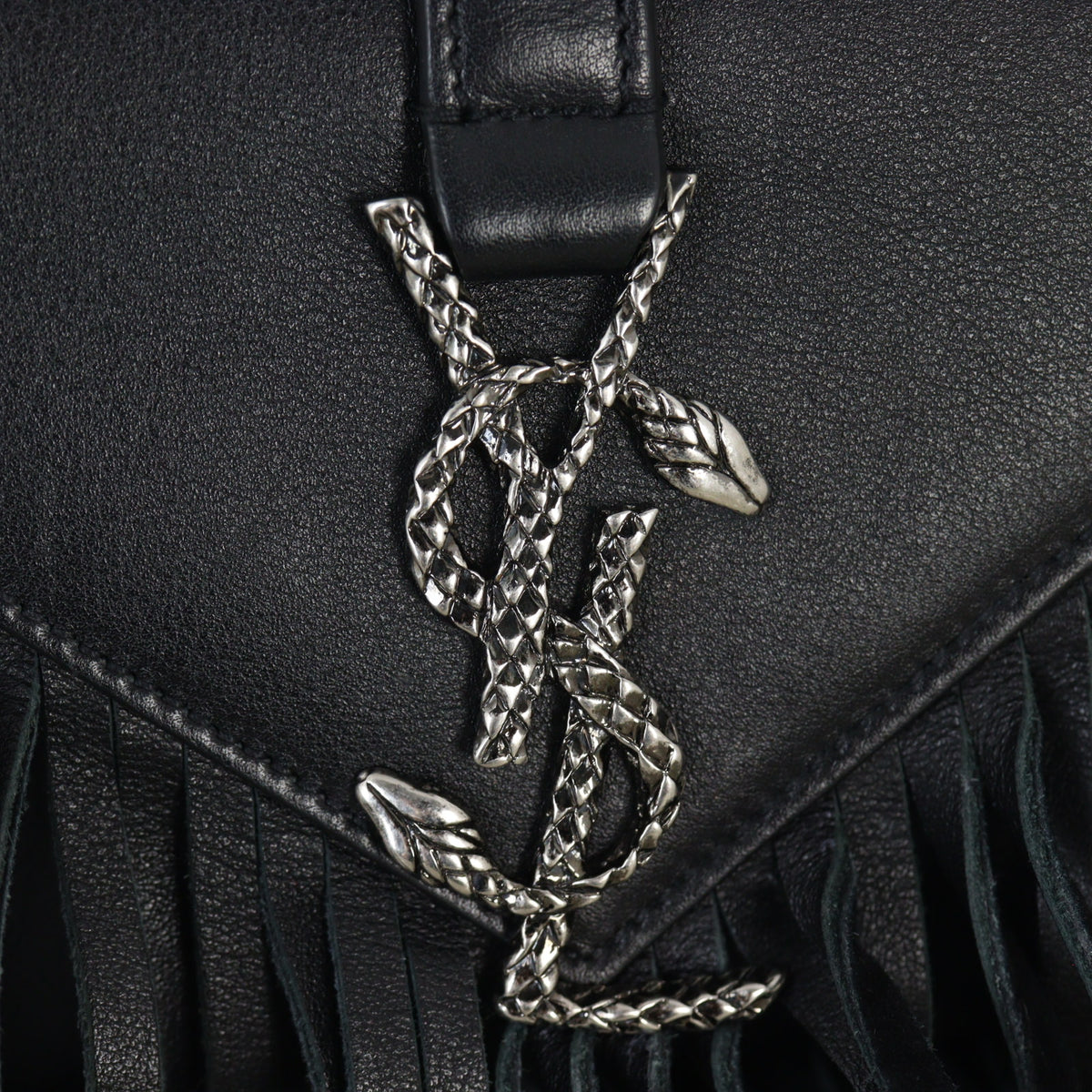 Saint Laurent Monogram Fringe Chain Bag Serpent_IMG_6756.jpg